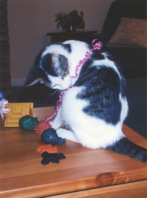Domino