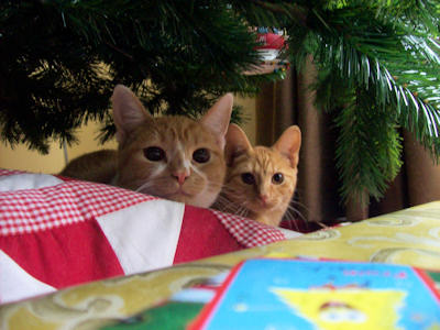 Phoebe & Jessie