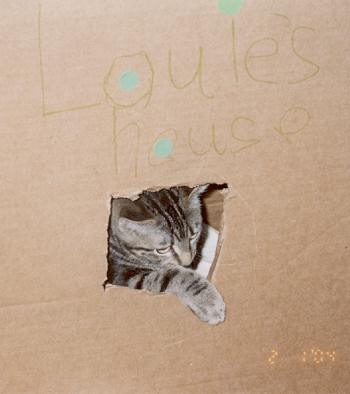 Louie