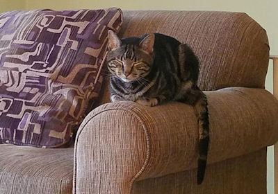 Louie