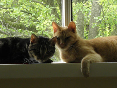 Louie & Stewie