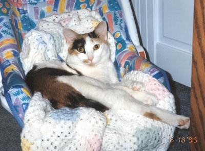 Phoebe
