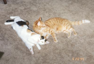 Phoebe & Mario
