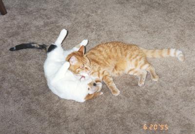 Phoebe & Mario