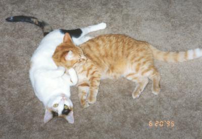 Phoebe & Mario