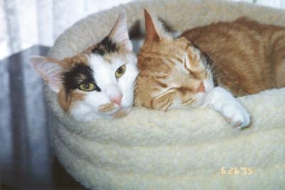 Phoebe & Mario