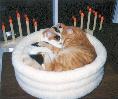Phoebe & Mario