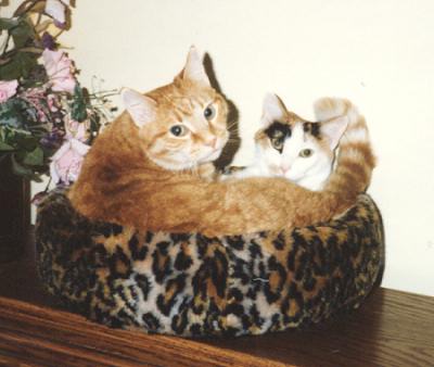 Mario & Phoebe