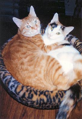 Mario & Phoebe