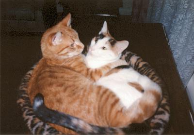 Mario & Phoebe