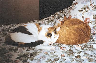 Phoebe & Mario