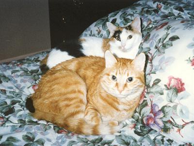 Phoebe & Mario