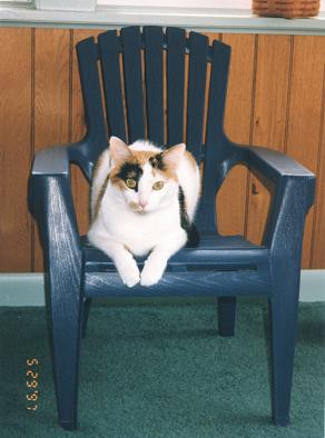 Phoebe