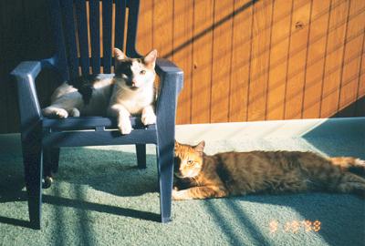Phoebe & Mario