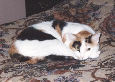 Phoebe