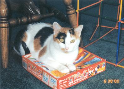 Phoebe