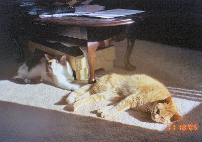 Phoebe & Mario