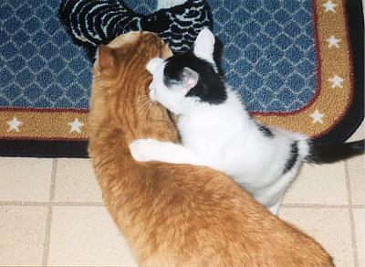 Spots & Mario