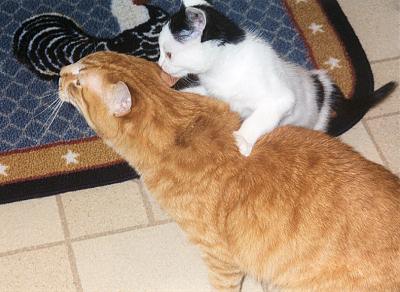 Spots & Mario