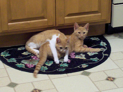 Jessie & Stewie