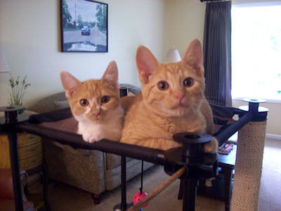 Jessie & Stewie