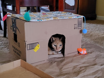 PETNAME