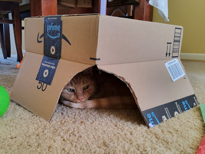 PETNAME