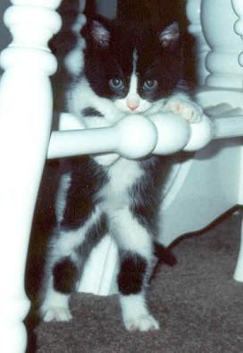 Minnie