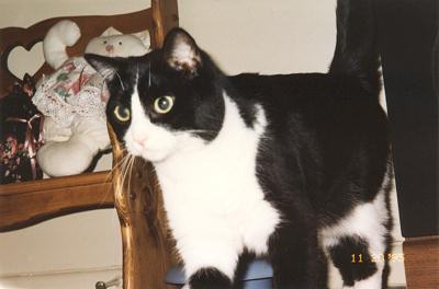 Minnie