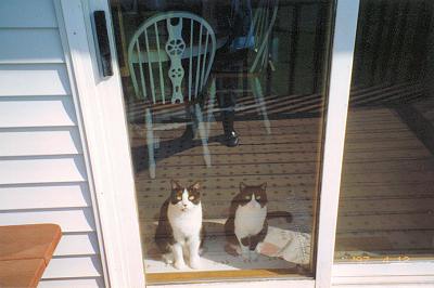 Max and Minnie