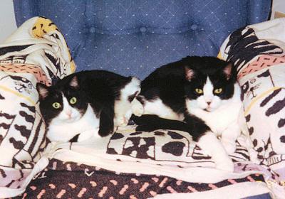 Minnie and Max