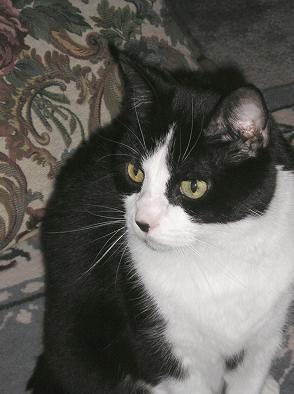 Max