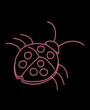 Ladybug