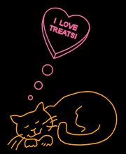 Sleeping Cat