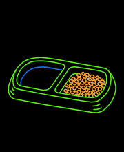 Cat Bowl