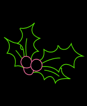Poinsettia